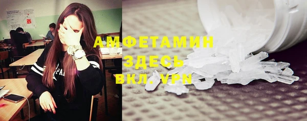 индика Горно-Алтайск
