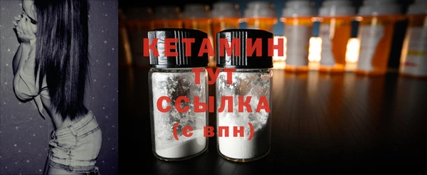 индика Горно-Алтайск