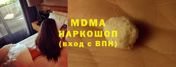 индика Горно-Алтайск