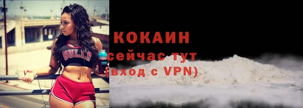 индика Горно-Алтайск