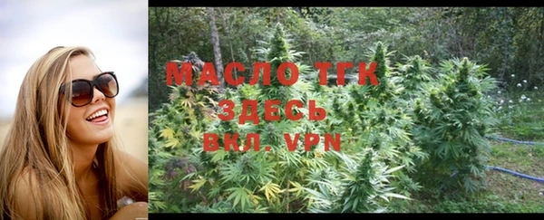 шишки Губаха