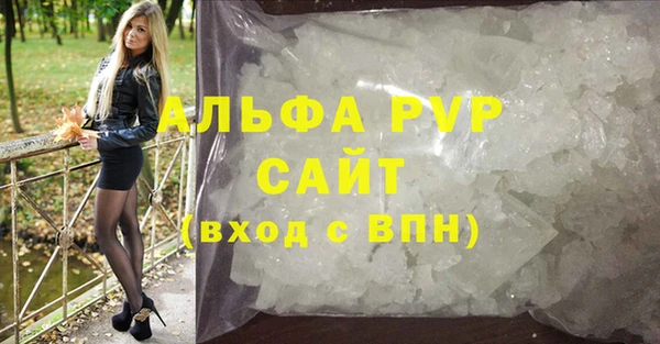 ГАЛЛЮЦИНОГЕННЫЕ ГРИБЫ Гусев