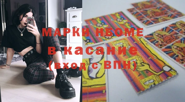 индика Горно-Алтайск