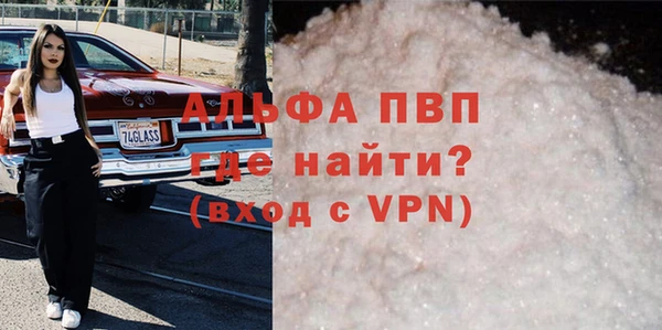индика Горно-Алтайск