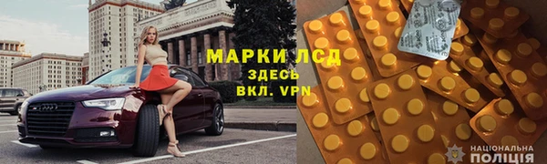 ГАЛЛЮЦИНОГЕННЫЕ ГРИБЫ Гусев